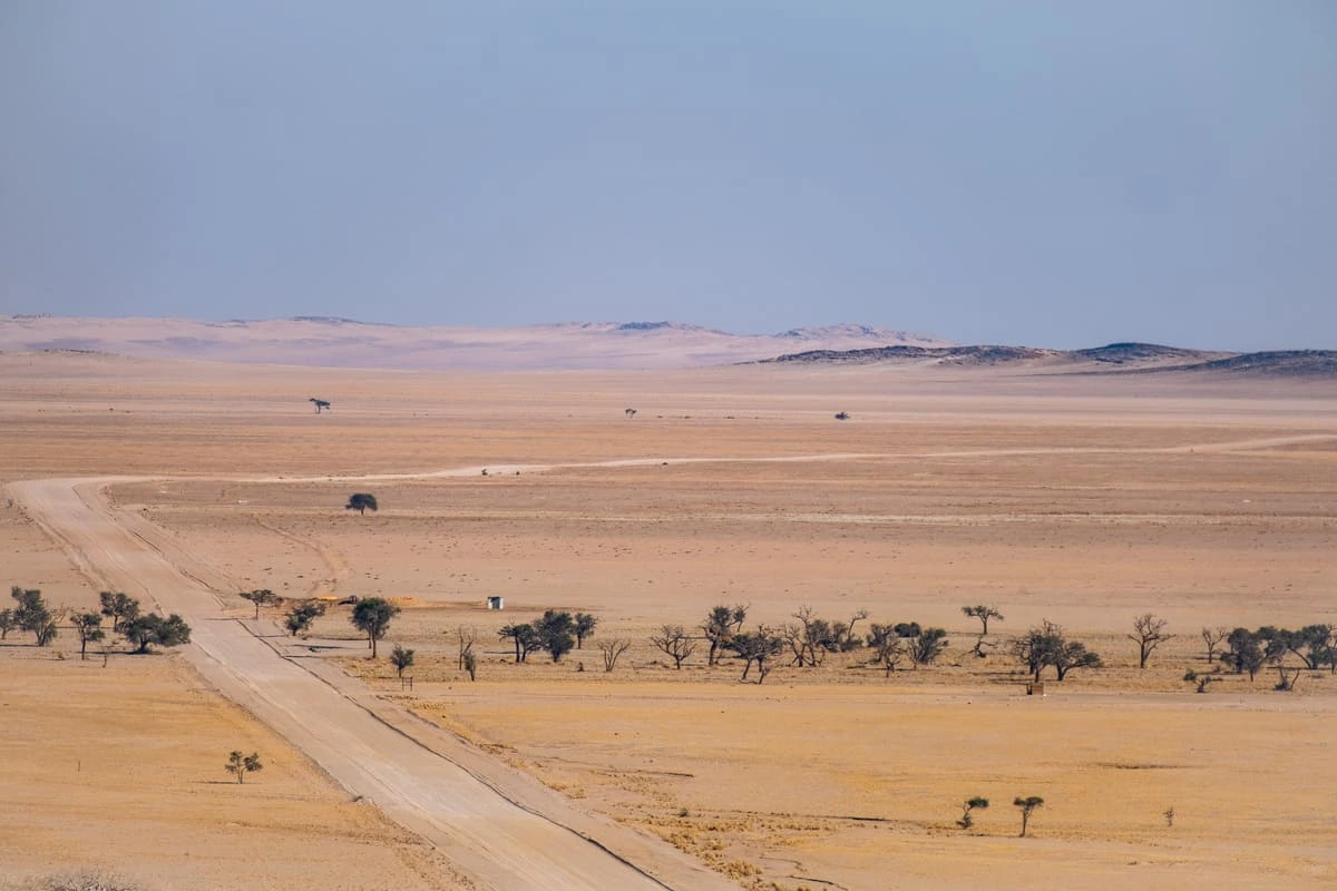 Longue route de gravier rectiligne traversant un vaste paysage désertique et aride en Namibie, illustrant l'immensité du territoire.