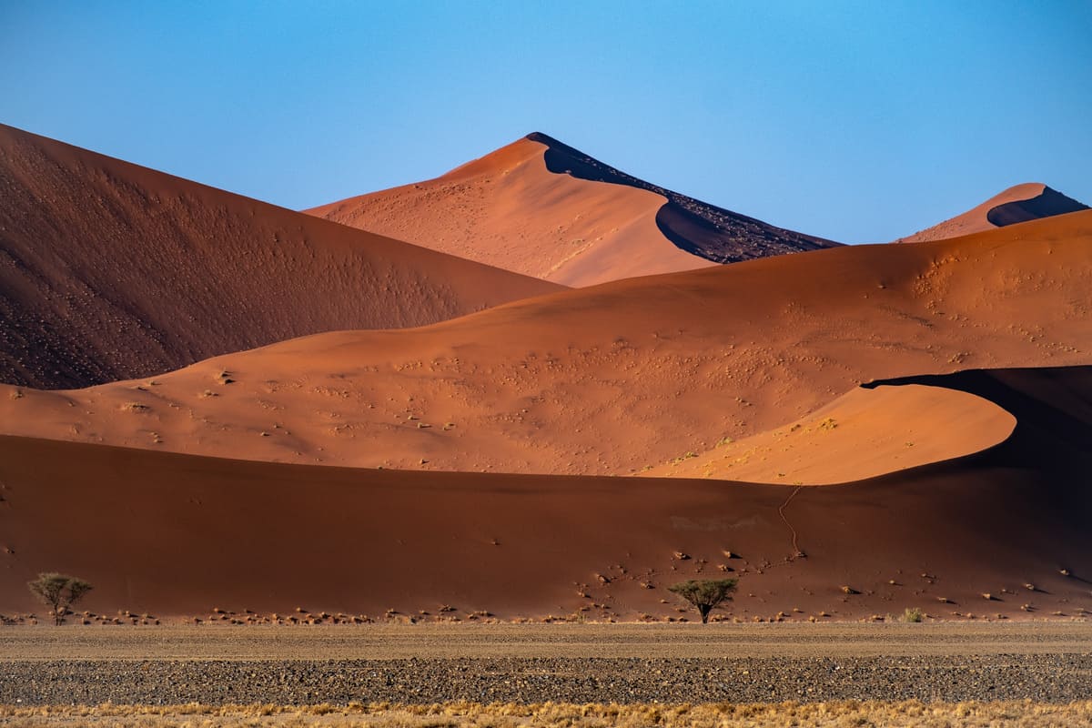 Les célèbres dunes de sable orange de Sossusvlei dans le parc national de Namib-Naukluft au lever du soleil.
