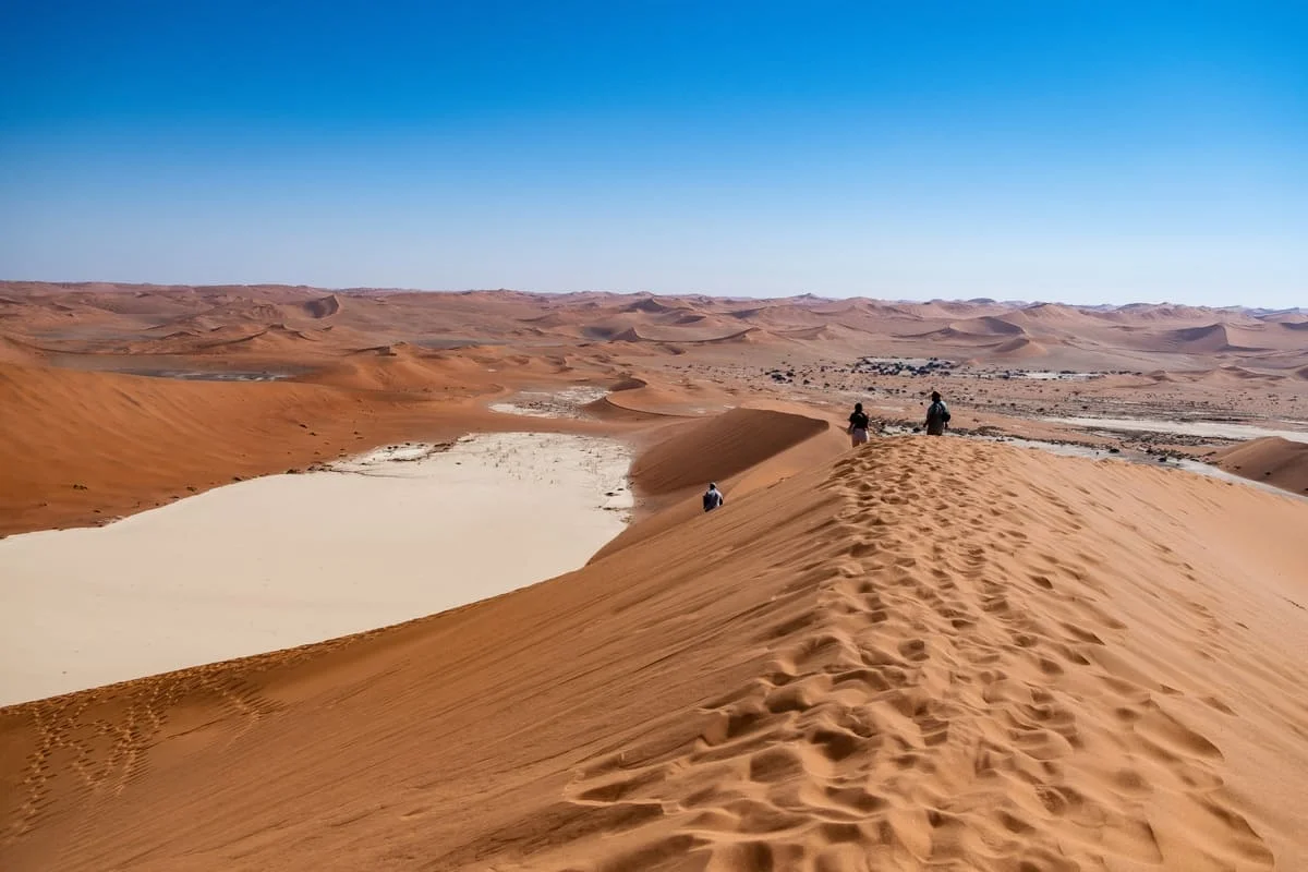 Panorama depuis le sommet de la dune Big Daddy à Sossusvlei : vue imprenable sur le désert de sel blanc et les dunes infinies.