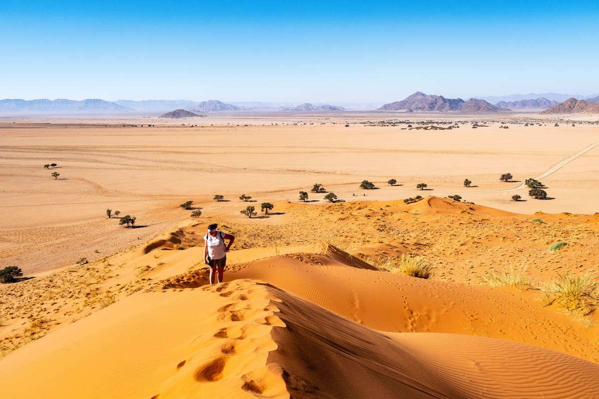 Randonnée sur la dune Elim de la réserve de Namib-Naukluft en Namibie : panorama spectaculaire sur le désert.