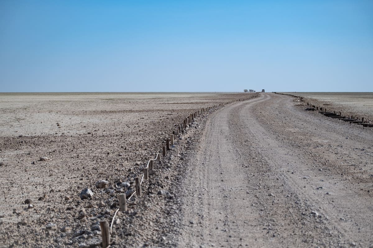 Traversée du Pan d'Etosha en Namibie : paysage aride et plat typique d'un safari en autotour.