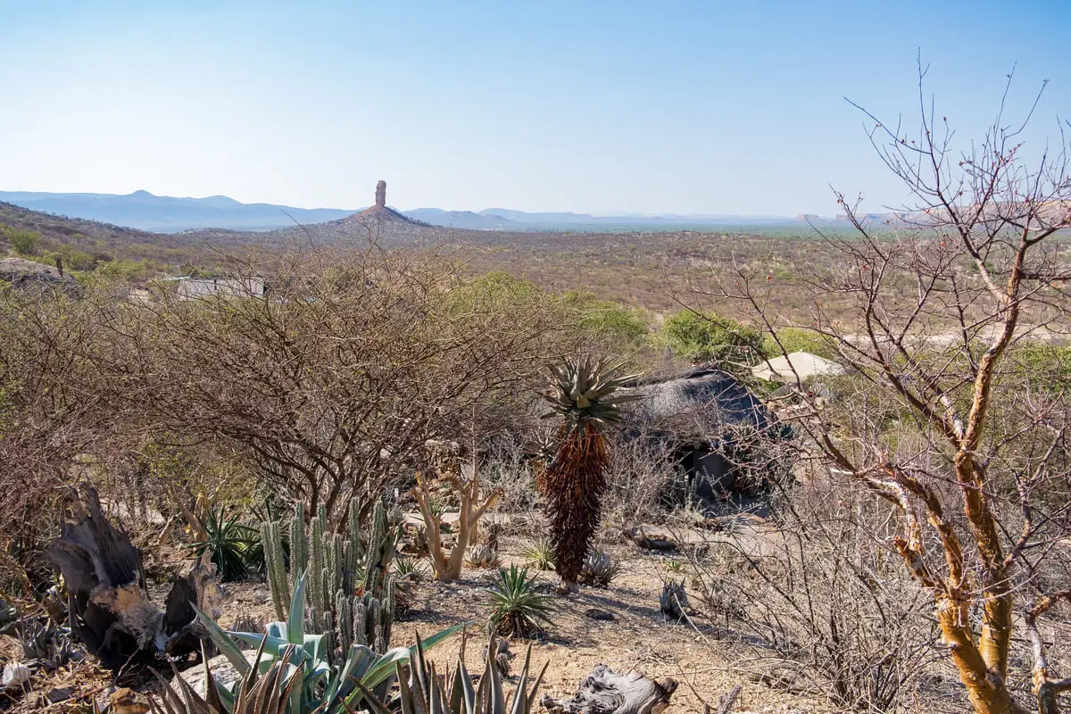 Paysage de savane aride en Namibie avec le célèbre Doigt de Dieu (Vingerklip) en arrière-plan
