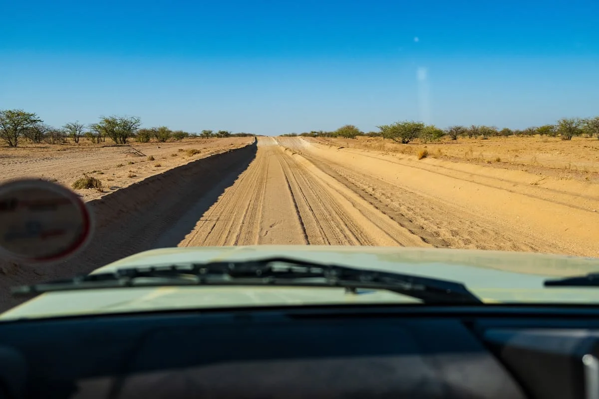 Vue depuis l'intérieur d'un 4x4 sur une piste de sable et de gravier rectiligne traversant la savane aride du Damaraland