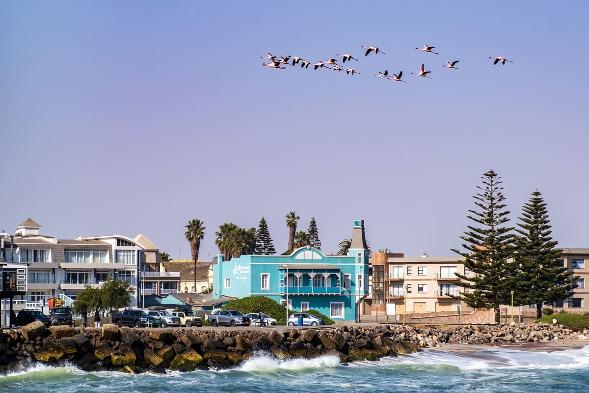 Faune et architecture à Swakopmund : flamants roses survolant la côte atlantique en Namibie.