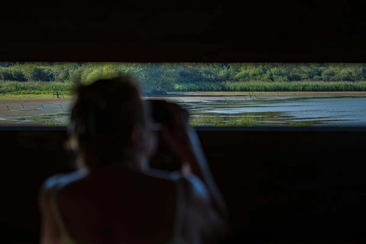 Observer la vie sur le lac depuis un observatoire de l'Aquascope de Virelles