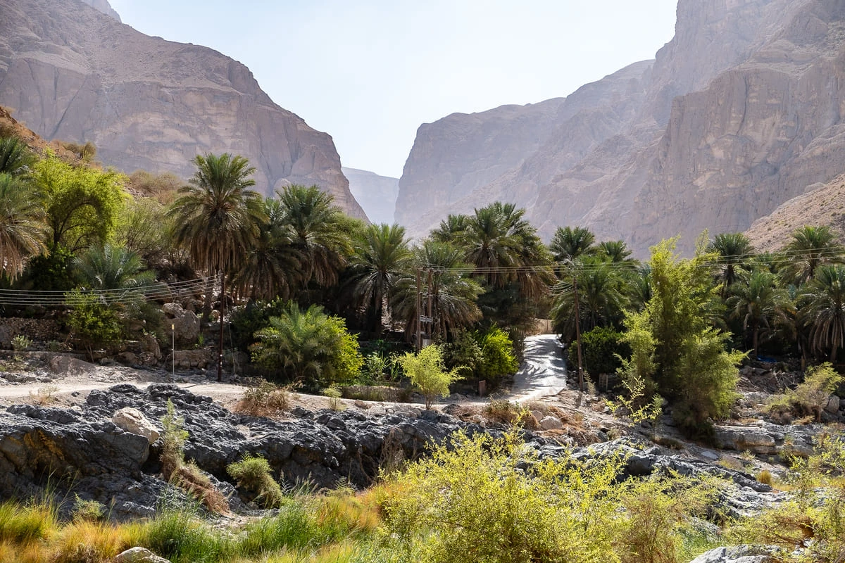 Piste et palmeraie au Wadi al Arbeieen